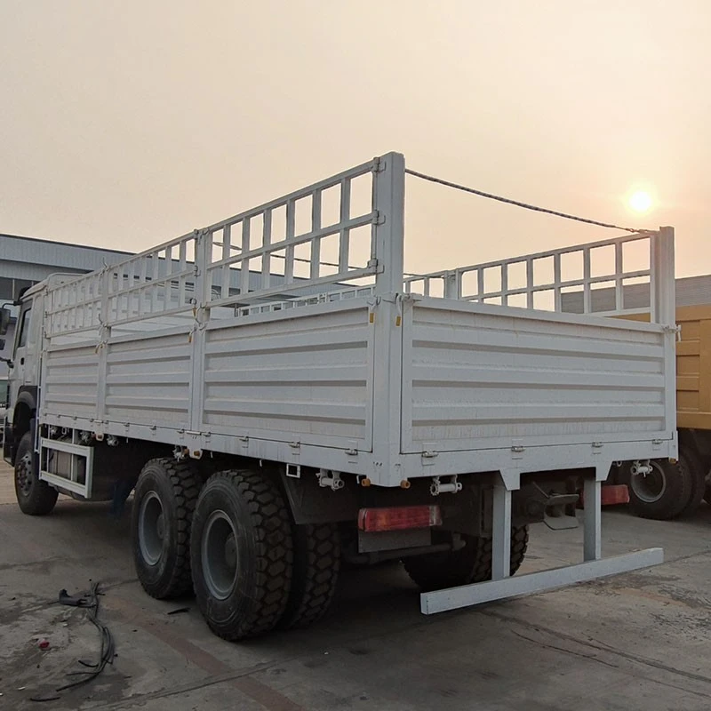 HOWO 6x4 Cargo Truck (3)